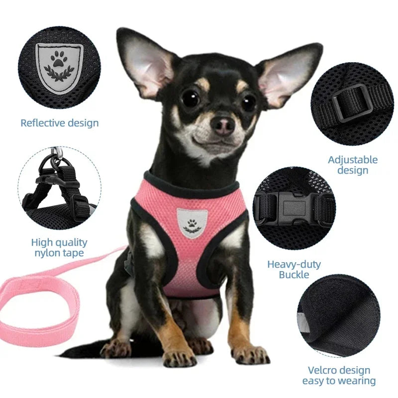 Cat Harness & Leash Set for Safe Walks