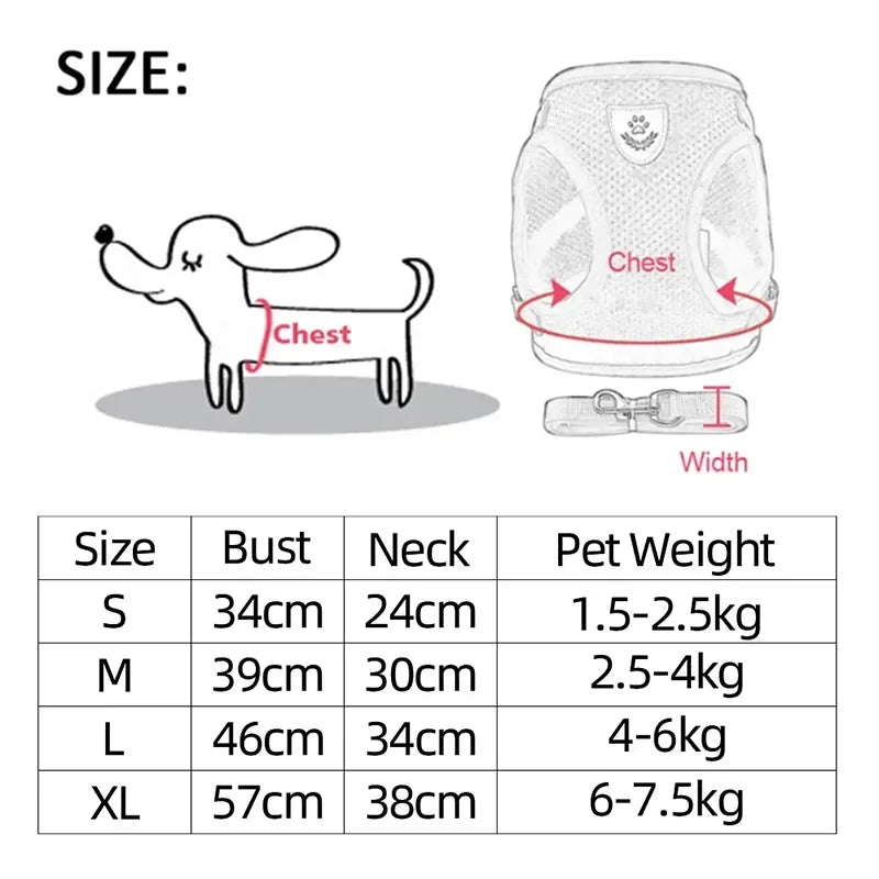 Cat Harness & Leash Set for Safe Walks