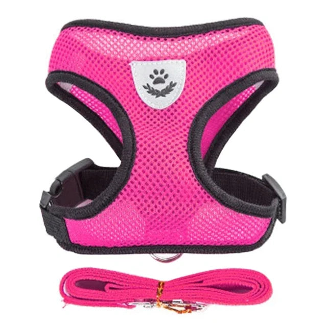 Cat Harness & Leash Set for Safe Walks