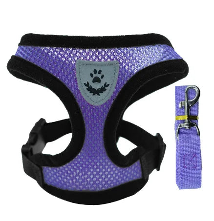 Cat Harness & Leash Set for Safe Walks