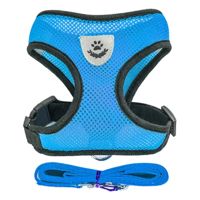 Cat Harness & Leash Set for Safe Walks