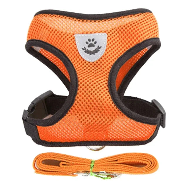 Cat Harness & Leash Set for Safe Walks