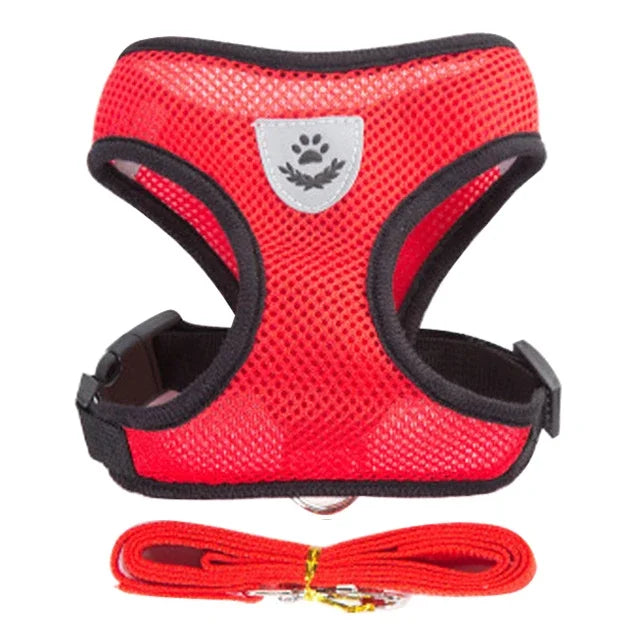 Cat Harness & Leash Set for Safe Walks