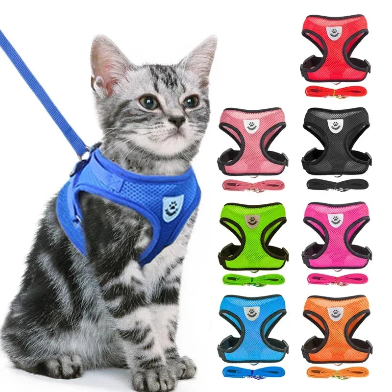 Cat Harness & Leash Set for Safe Walks