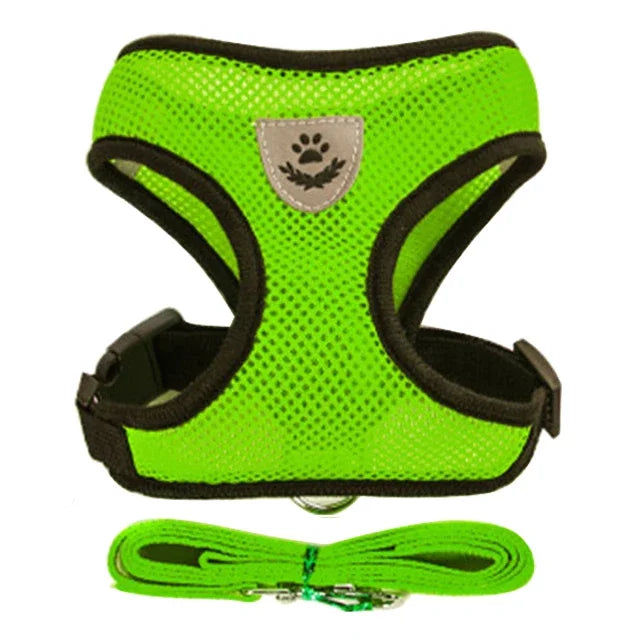 Cat Harness & Leash Set for Safe Walks