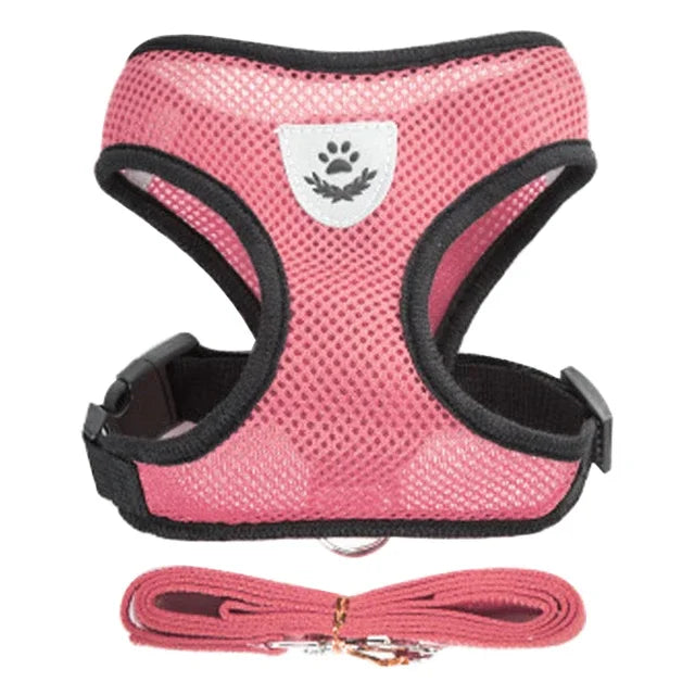 Cat Harness & Leash Set for Safe Walks